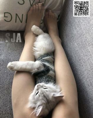 九九人体摄影高清大图_超清完整在线观看