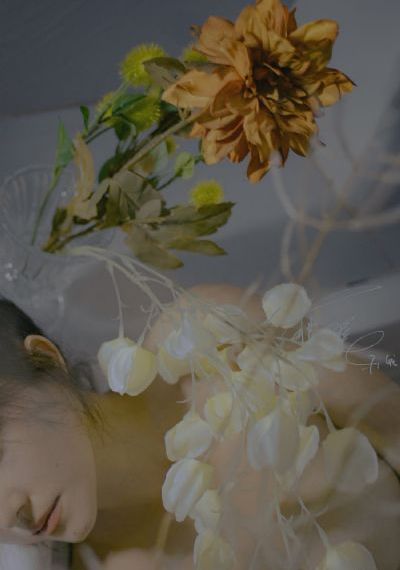 亚洲免费婷婷_国产剧日韩电影在线